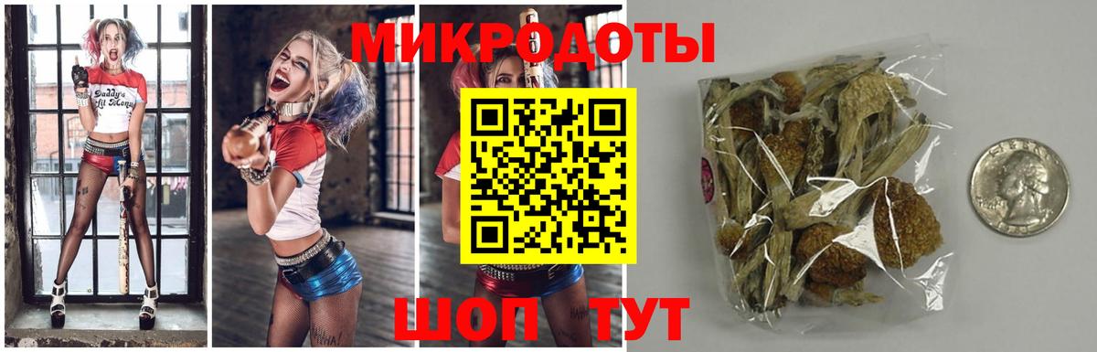 Железногорск  Псилоцибиновые грибы MAGIC MUSHROOMS  Вход с VPN  хочу наркоту  Галлюциногенные грибы мухоморы 